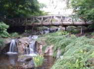 Waterfall and Ponds
