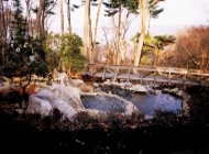 Waterfall and Ponds